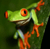 Vartotojo avataras